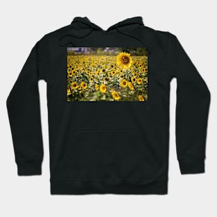 One Sunflower is Heads Above the Rest Hoodie